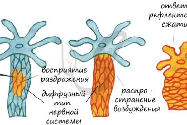 Кракен тг ссылка