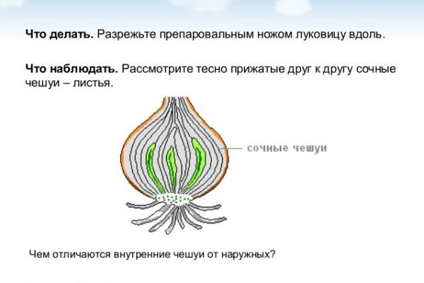 Кракен официальное зеркало 2024