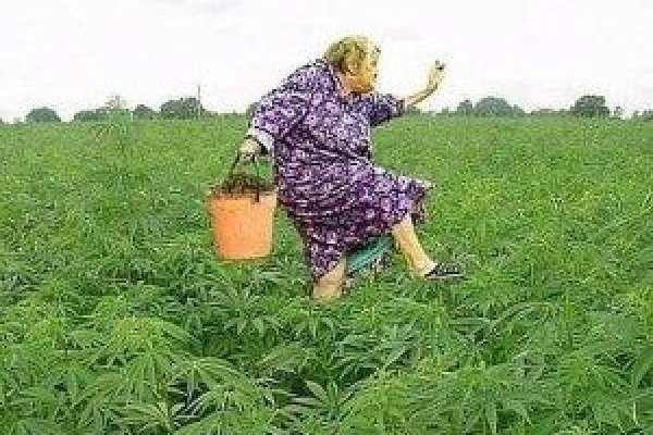 Мега войти на сайт