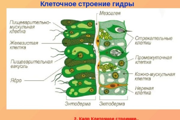 Kraken 12at сайт